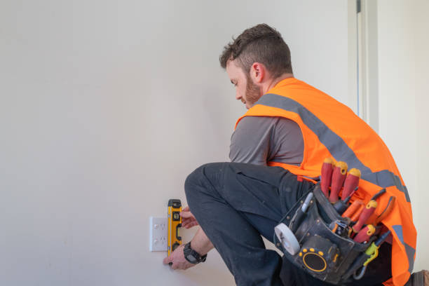 Best Ceiling Fan Installation Electrician  in Denmark, SC