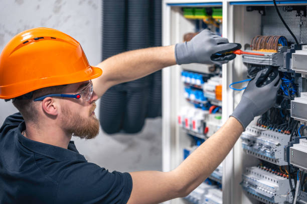 Best Local Electrician Companies  in Denmark, SC