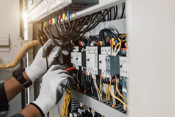 Best Electrical System Inspection  in Denmark, SC